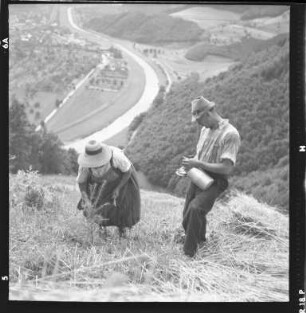 Landwirtschaft im Schwarzwald