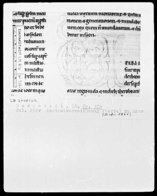 Testamentum Vetus — Initiale V (erba), Folio 228 verso