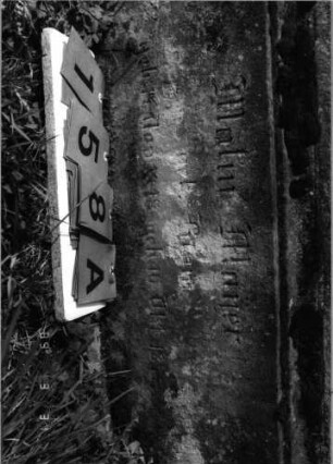 Grabstein 158 (Index: 100089546) Material: gelber Sandstein Zustand: unten verwittert, mit Moos bewachsen Maße HxBxT: 169x73x30 cm: Grabstein 158A