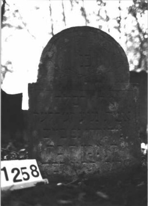 Grabstein 1258 (Index: 99900075) Material: Sandstein Zustand: unten stark verwittert Maße HxBxT: 72x51x8 cm Beschreibung: Stele mit eingezogenem Rundbogenabschluss, im Bogenfeld Blumenranken, etwas eingesunken Symbolik: Blumenranken: Grabstein 1258