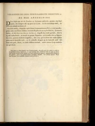 De XXXI. Afbeelding
