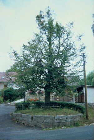 Dorfplatz