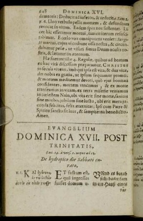 Evangelium Dominica XVII. Post Trinitatis.