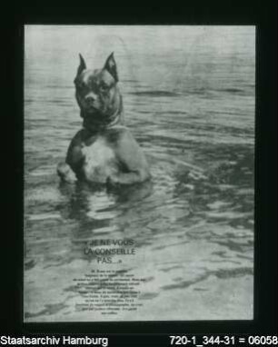 Hund im Wasser