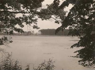 Zeisigteich bei Wermsdorf