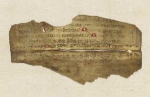 Fragment