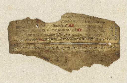 Fragment