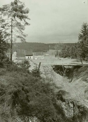 Hirschenstand (Jeleni), Bingenzug, Grube Gottes Segen