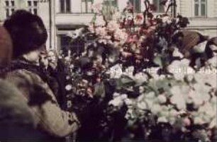 Rzeszow. Blumenverkauf auf einem Marktplatz