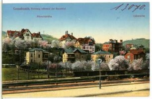 Cossebaude. Eichberg während der Baumblüte