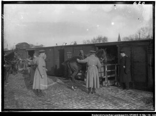 Verladen einer Munitionskolonne auf Eisenbahnwaggons (älterer Positivabzug vorhanden) Enthält: Verladen von Pferden