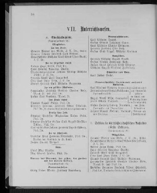 VII. Unterrichtswesen.