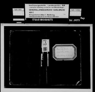 Ersatz-Kompanie Reserve 111