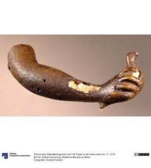 Mitglieder des Kommunistischen Jugendverbandes Deutschlands (KJVD) der Ortsgruppe Bermsgrün bei einem Ausflug in Halbmeile in der Tschechoslowakischen Republik (CSR) : Mitglieder des Kommunistischen Jugendverbandes Deutschlands der Ortsgruppe Bermsgrün bei einem Ausflug in Halbmeile (CSR)