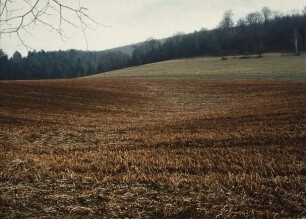 Fotografie: Landbewirtschaftung, Flurbereinigung