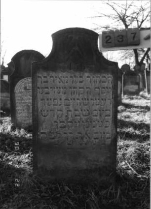 Grabstein 237 (Index: 100116002) Material: Sandstein Zustand: leicht verwittert Maße HxBxT: 117x59x12 cm Beschreibung: Stele mit konkav eingezogenem Segmentbogenabschluß Symbolik: Cohanim-Hände: Grabstein 237