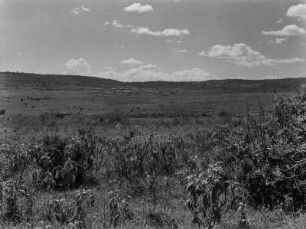 Hochfläche bei Gondar : Blick auf die Hochfläche bei Gondar