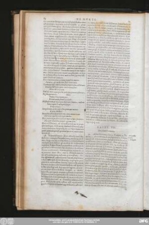 Caput. VII. De adiunctis mortis.