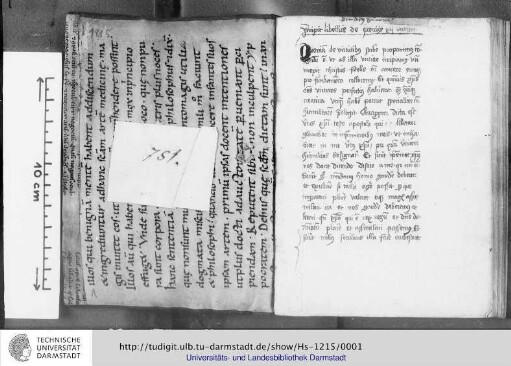 Godefridus de Wedel