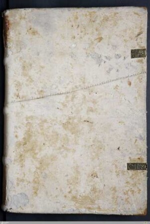Margareta von Ungarn - Cod.theol.et.phil.fol.281