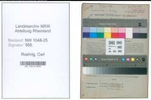 Entnazifizierung Carl Roehrig , geb. 06.10.1898 (Vertreter)