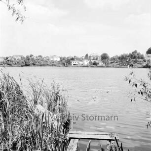 Herrenteich: Westufer: Blick vom Promenadenweg zur Badeanstalt aus: im Hintergrund Ostufer, Matthias-Claudius-Schule: im Vordergrund Schilf, Steg, Seerosen