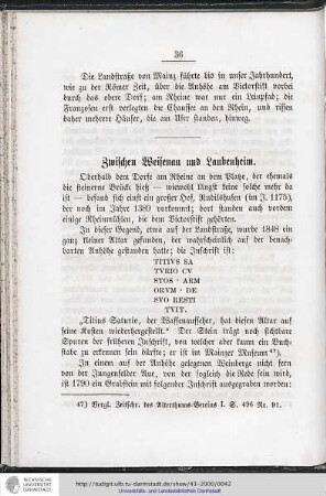 Zwischen Weisenau und Laubenheim