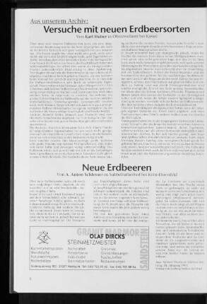 Aus unserem Archiv: Versuche mit neuen Erdbeersorten