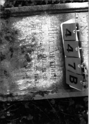 Grabstein 447 (Index: 99791989) Material: Sandstein Zustand: verwittert mit Textverlust, Stele liegend Maße HxBxT: 118x51x13 cm Beschreibung: Stele, geschwungener Abschluß mit Mittelakroter, Schriftfeld eingetieft Symbolik: Blüte: Grabstein 447B