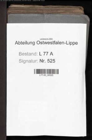 Aufteilung (Dismembration) des Tilhennschen Gutes zu Leese
