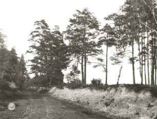 Oberlausitzer Teich- und Heidegebiet. Feuersteingrube am Pansberg bei Petershain-Horscha (Kieselschiefer mit Graptolithen/Gotlandium)