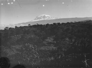 Landschaft mit Kibo : Blick über eine bewaldete Ebene auf den Kibo