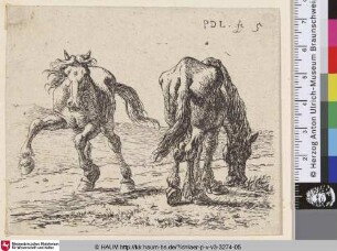 [Zwei Pferde; Two Horses on the Pasture; Twee paarden in een weide]