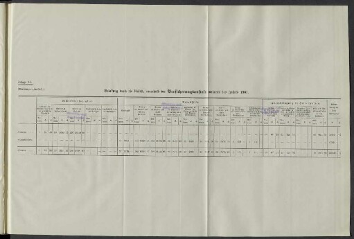 Belastung durch die Unfälle innerhalb der Versicherungsanstalt während des Jahres 1907.