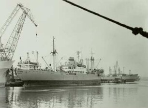 Rostock, Frachtschiff Stoltera