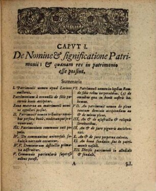 Ius patrimonii dividui et individui academica interpretatione expositum