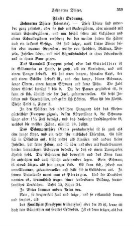 Fünfte Ordnung. Zahnarme Thiere (Edentata)