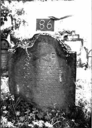 Grabstein 86 (Index: 100103558) Material: Sandstein Zustand: verwittert, oben angeschlagen Maße HxBxT: 111x81x6 cm Beschreibung: Stele, eingezogener Rundbogenabschluss, Schriftfeld eingetieft mit Konvexbogenabschluss, im Bogen Blüte Symbolik: Blüte: Grabstein 86