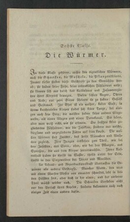 Sechste Klasse. Die Wuermer.
