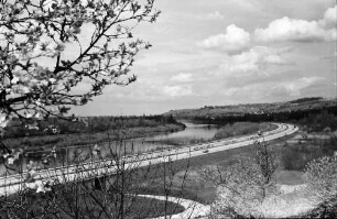 Rheinweiler: Autobahn und Altrhein