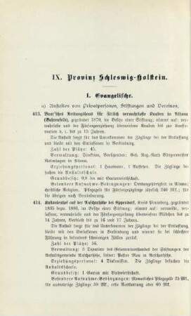 IX. Provinz Schleswig-Holstein