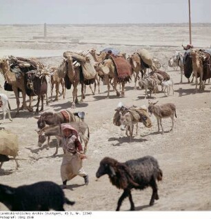 Irak: Karawanenweg