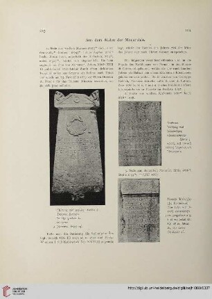 2.1899: Aus dem Süden der Monarchie