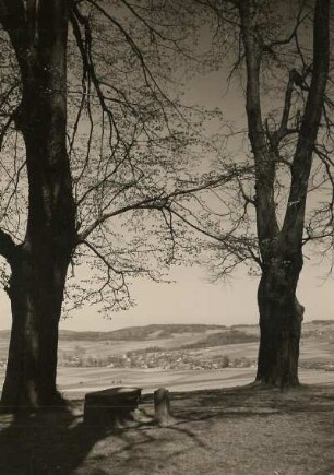 Blick von den Sieben Linden : Steinigtwolmsdorf (obersorbisch Wołbramecy), Blick von den Sieben Linden nach Nordosten