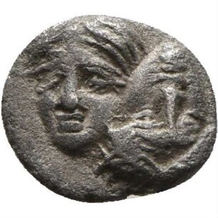 cn coin 29346 (Istros)