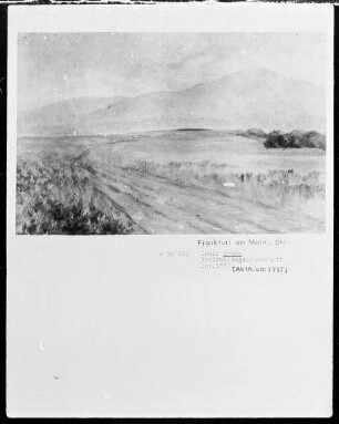 Kornfeld mit Blick auf den Taunus