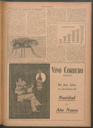 La mosca, un enemigo de la humanidad