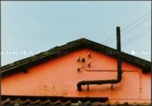Dachgiebel eines orangefarbenen Hauses (Altersgruppe bis 14)