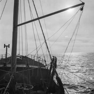 Auf dem offenen Meer, Männer am Netz, Fischdampfer PC312 Tirol