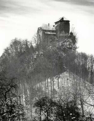 Blick auf Schloß Glopper im Voralberg